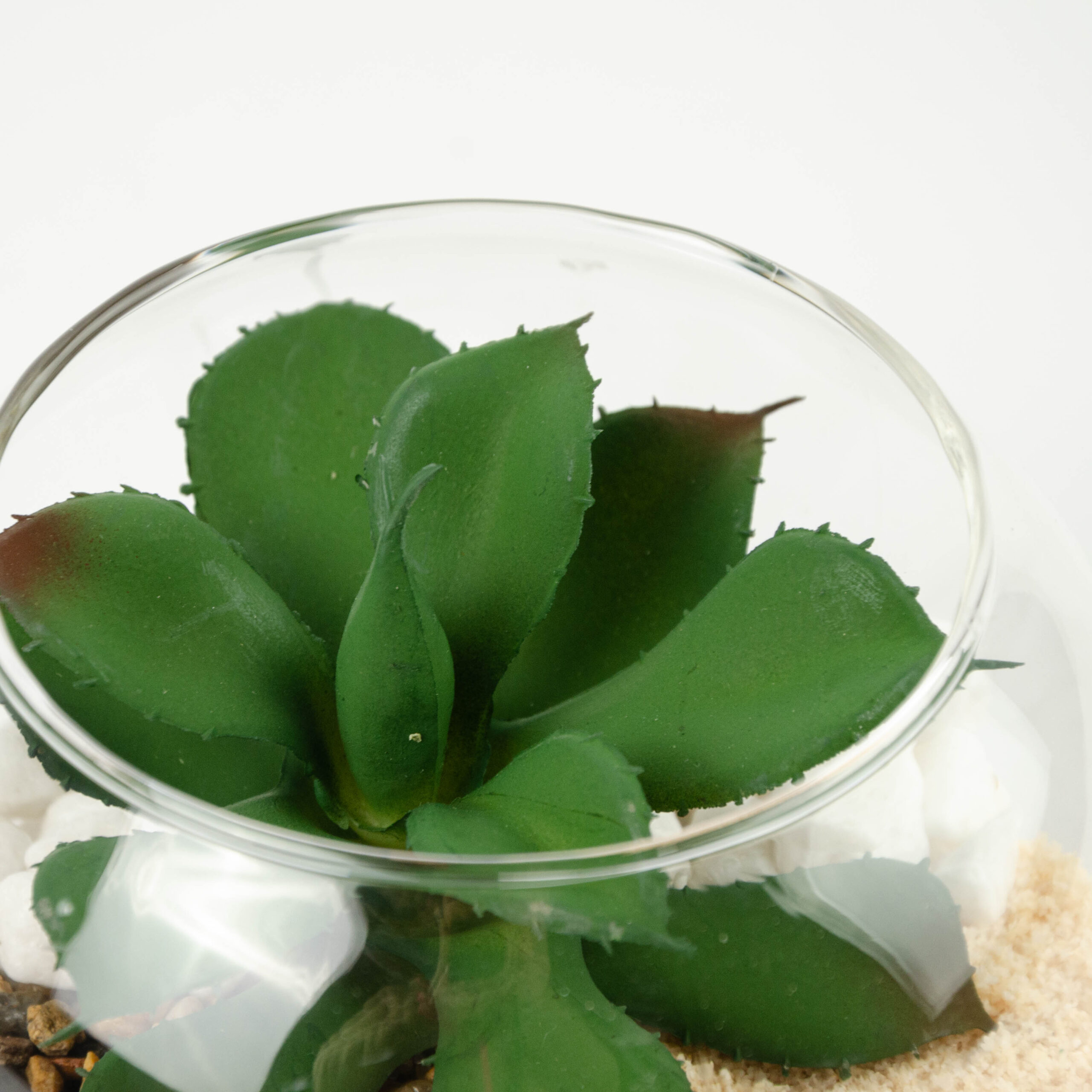 Composizione pianta grassa Boccia agave marrone, verde in plastica, vetro  stile moderno