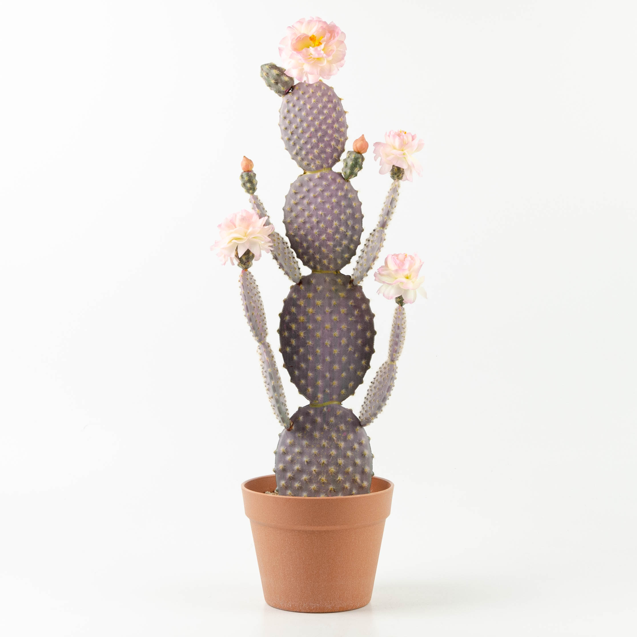 Pianta artificiale Cactus