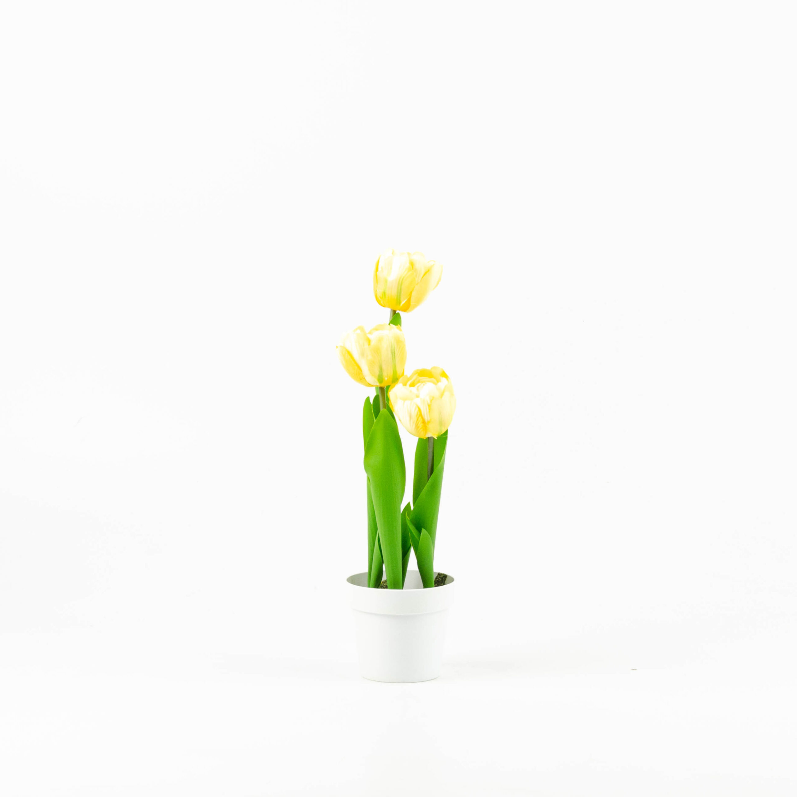 Vaso 3 Tulipani giallo giallo in artificiale stile