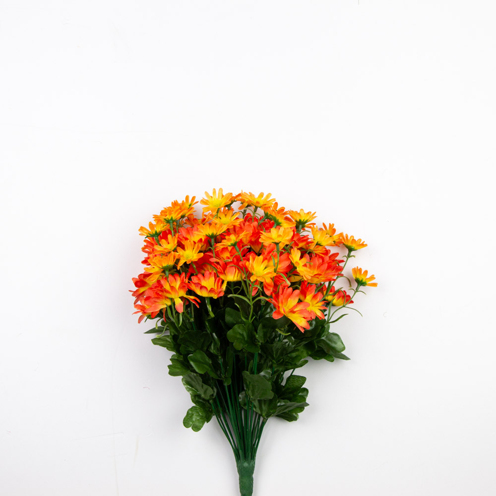 Bush gerbera arancio