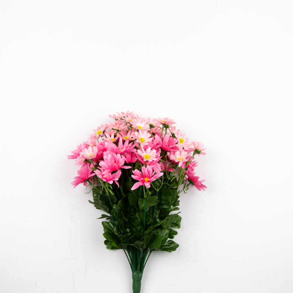 Bush gerbera rosa