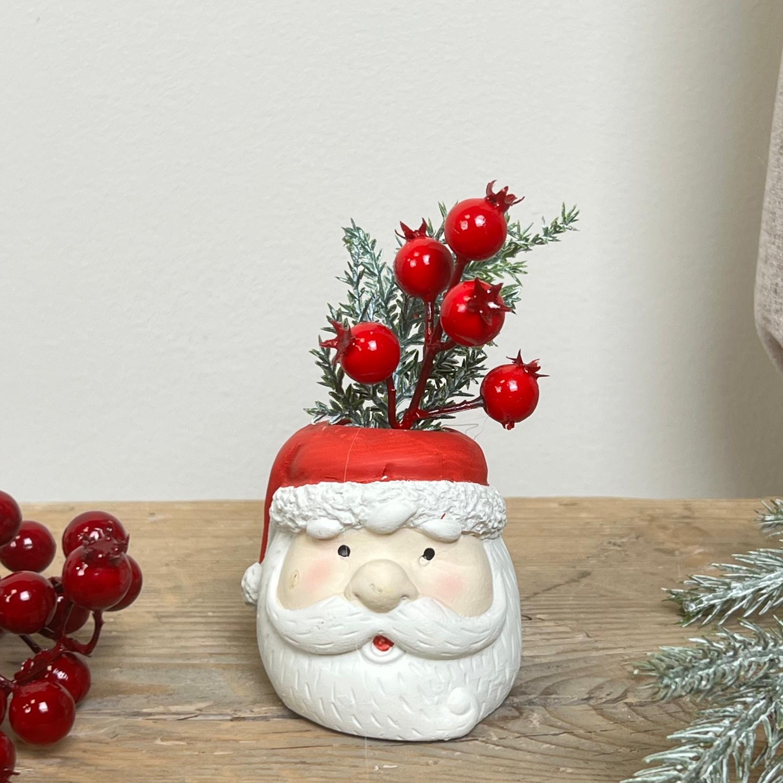 Decorazione con piantina 