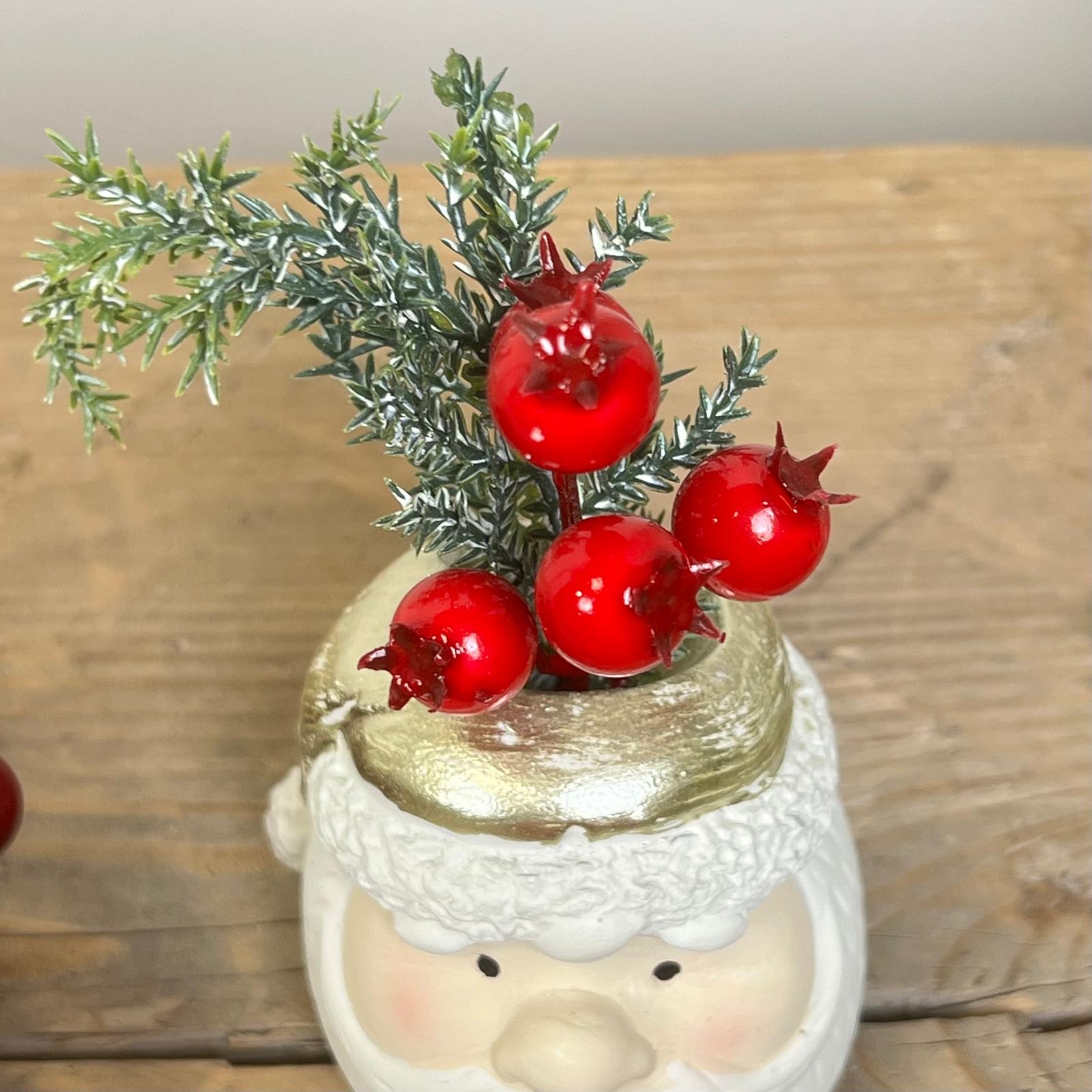 Decorazione con piantina 