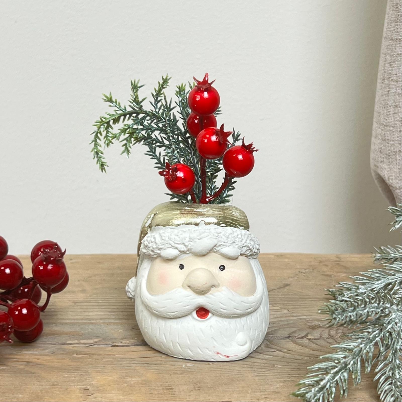 Decorazione con piantina 