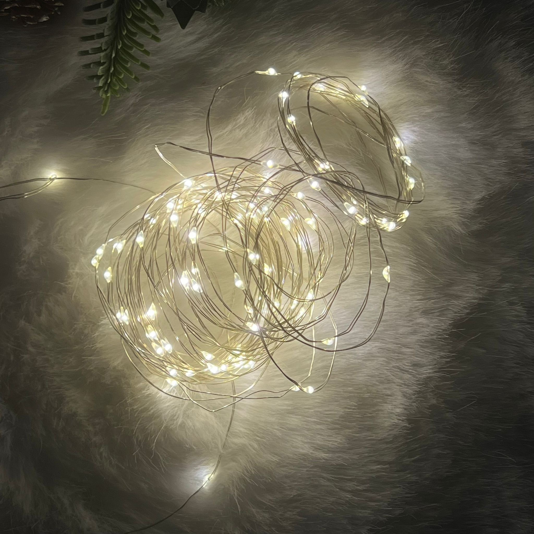 Filo di luci 100 led bianco caldo