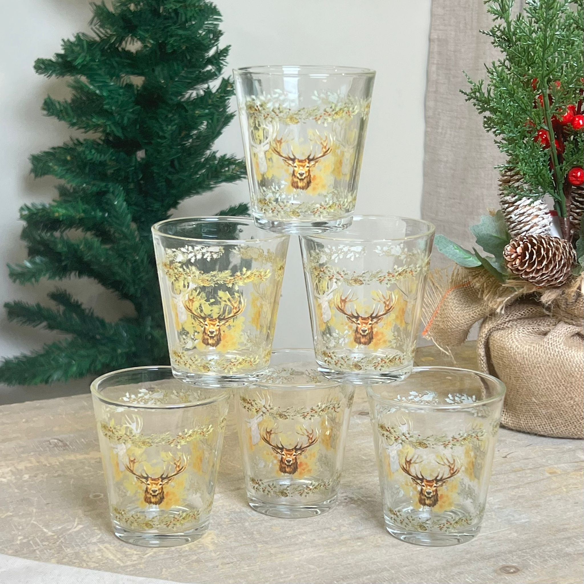 Set 6 bicchieri 