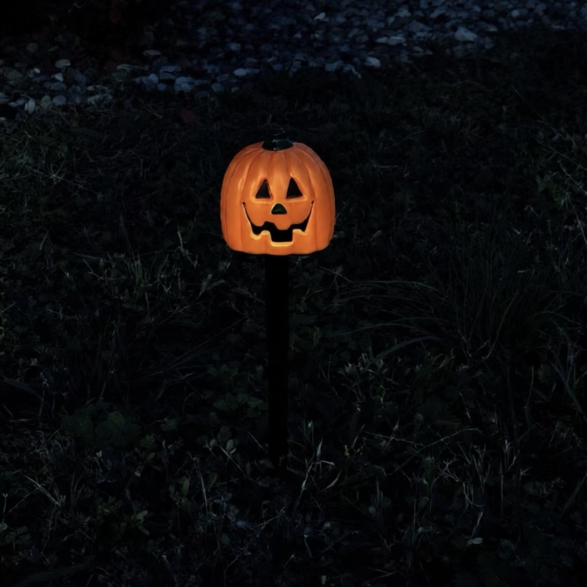 Decorazione da giardino a led 