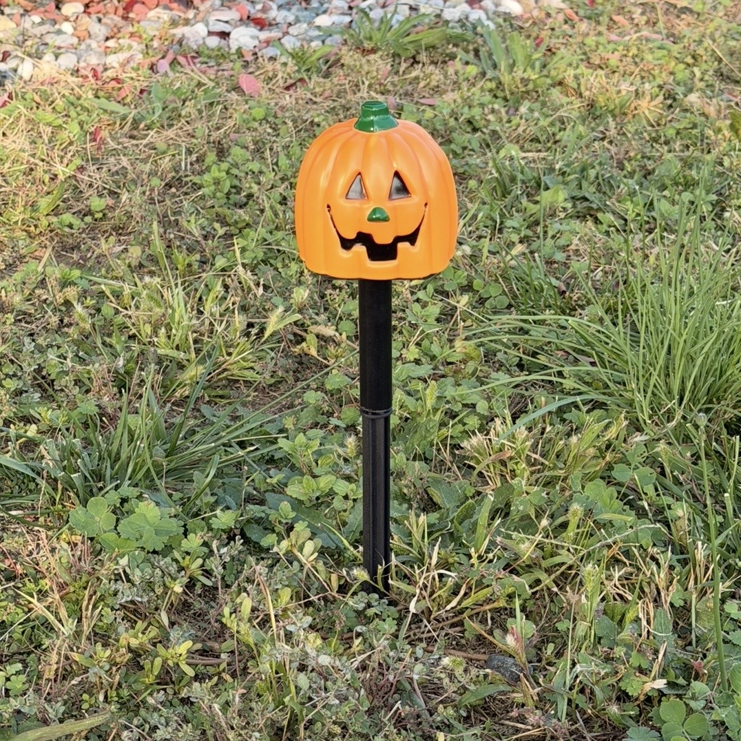 Decorazione da giardino a led 