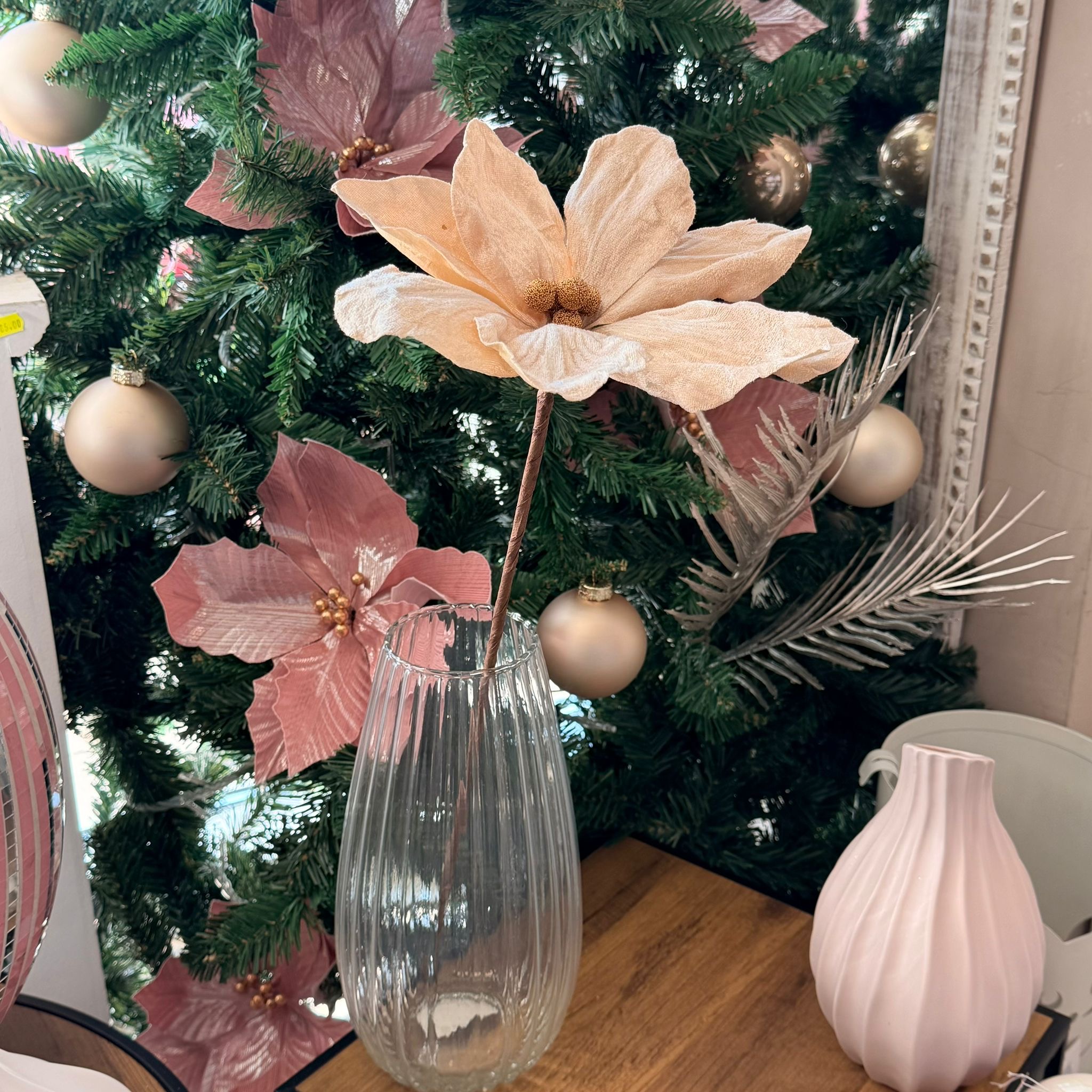 Stelo magnolia tortora