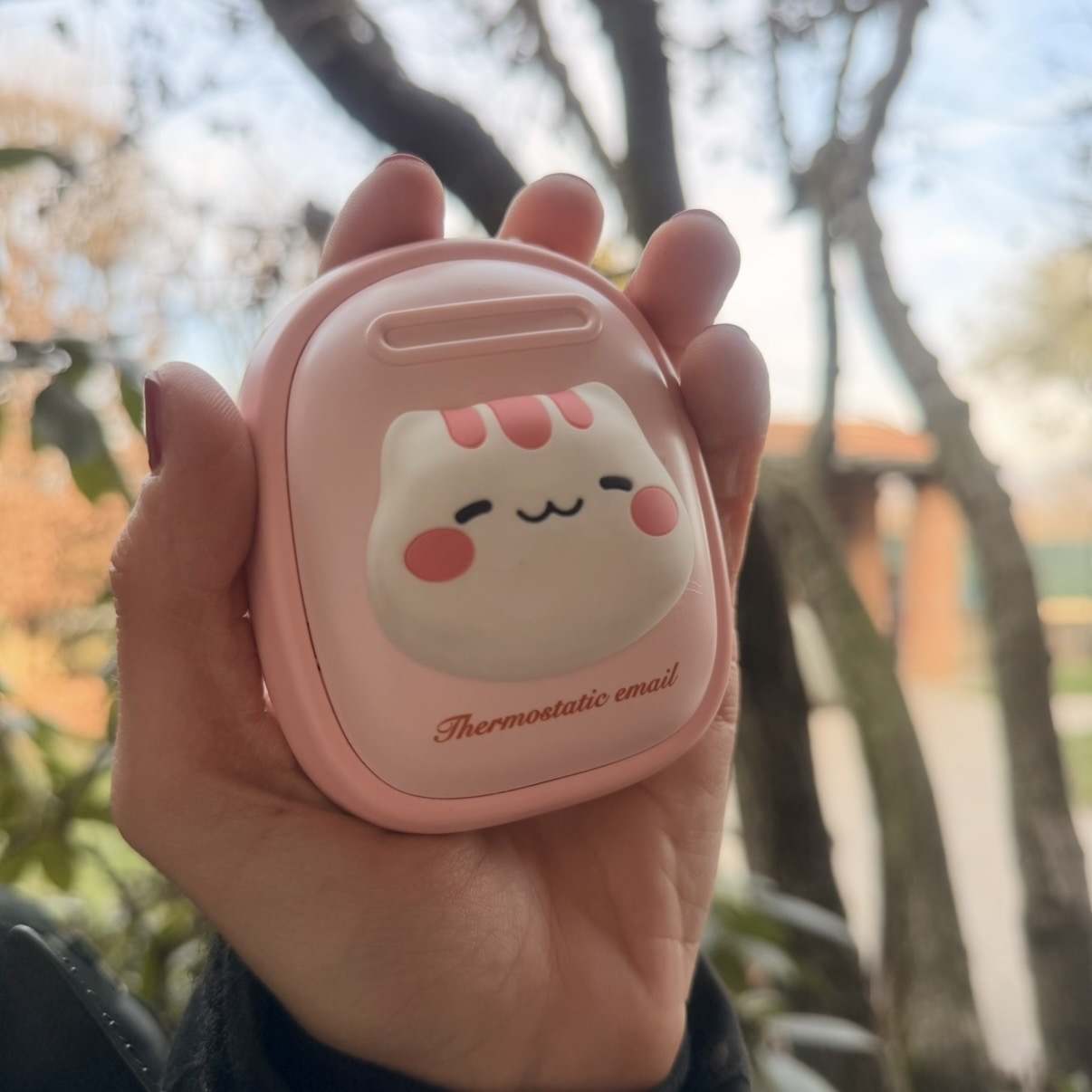 Scalda mani ricaricabile 