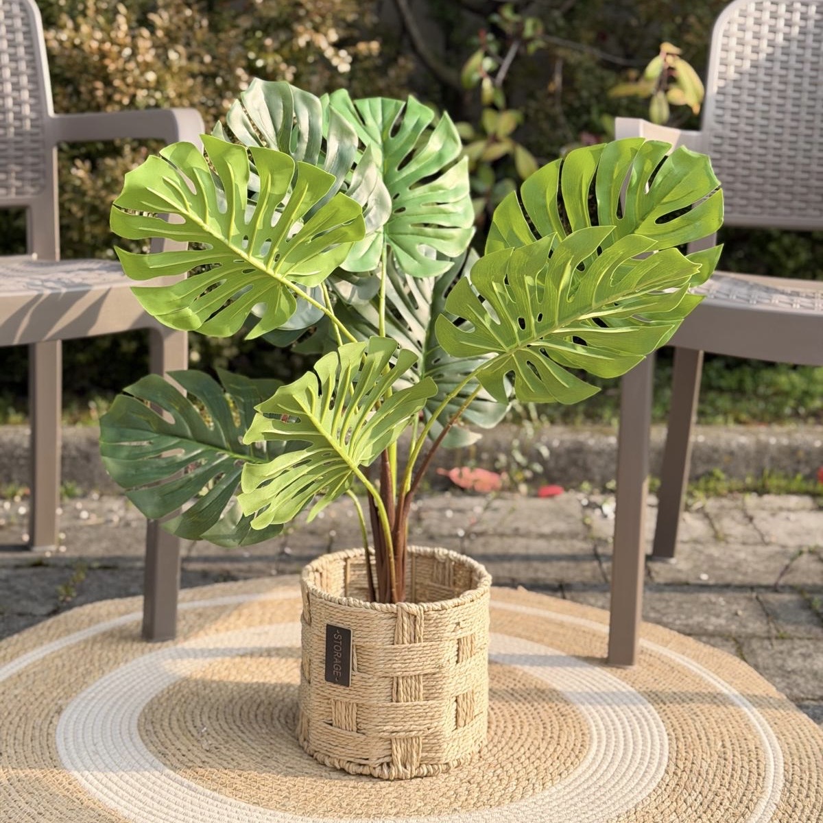 Vaso pianta tropicale monstera h75