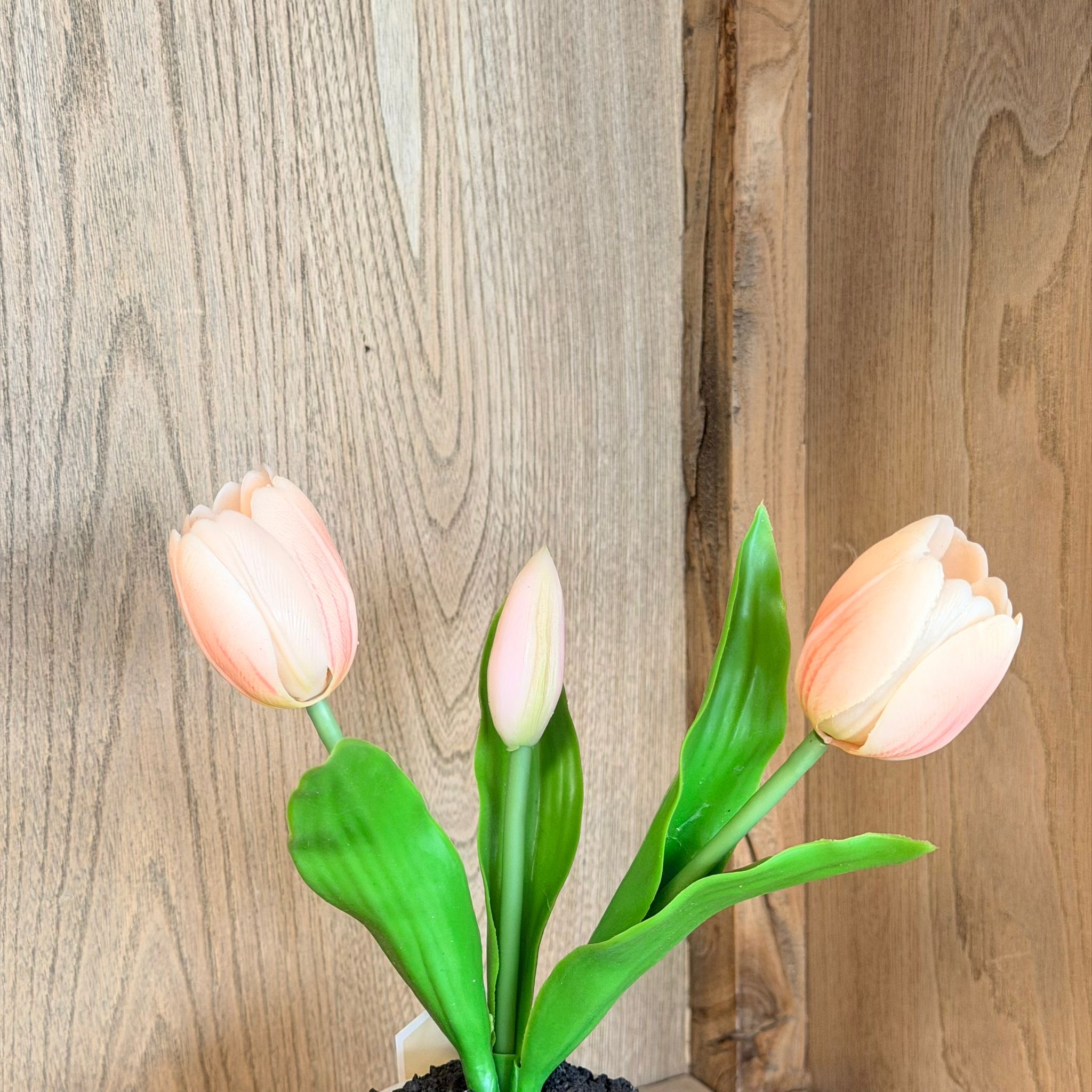 Vasetto 3 tulipani rosa