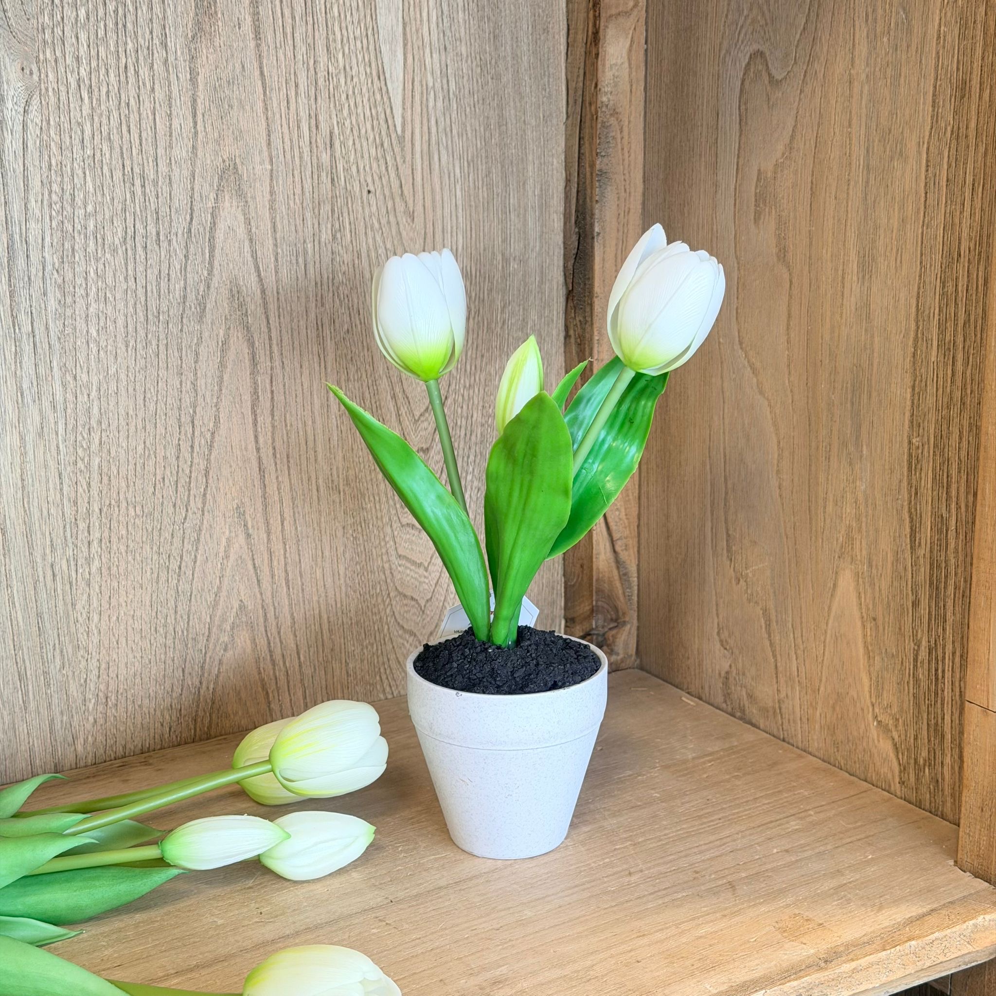 Vasetto 3 tulipani bianco