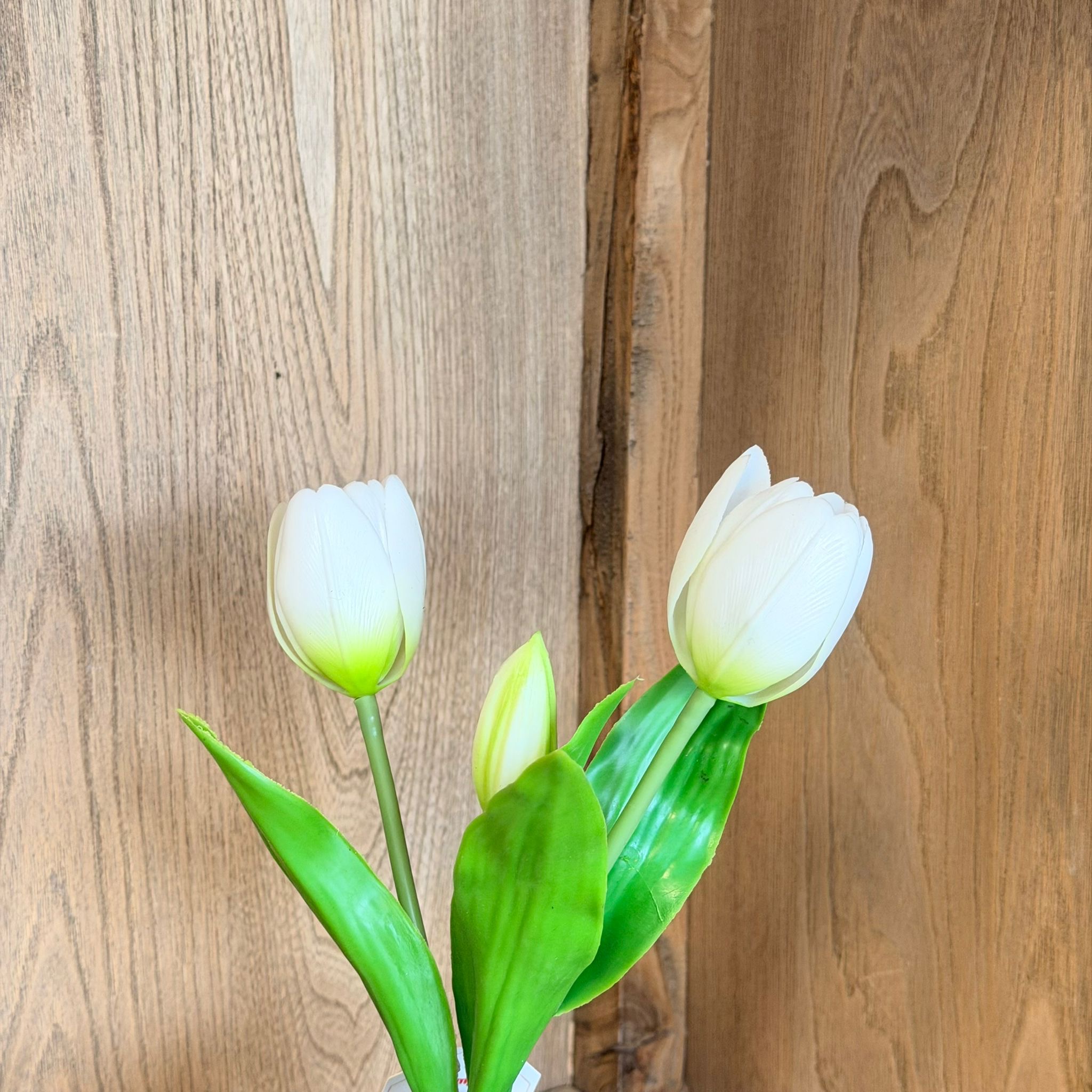 Vasetto 3 tulipani bianco