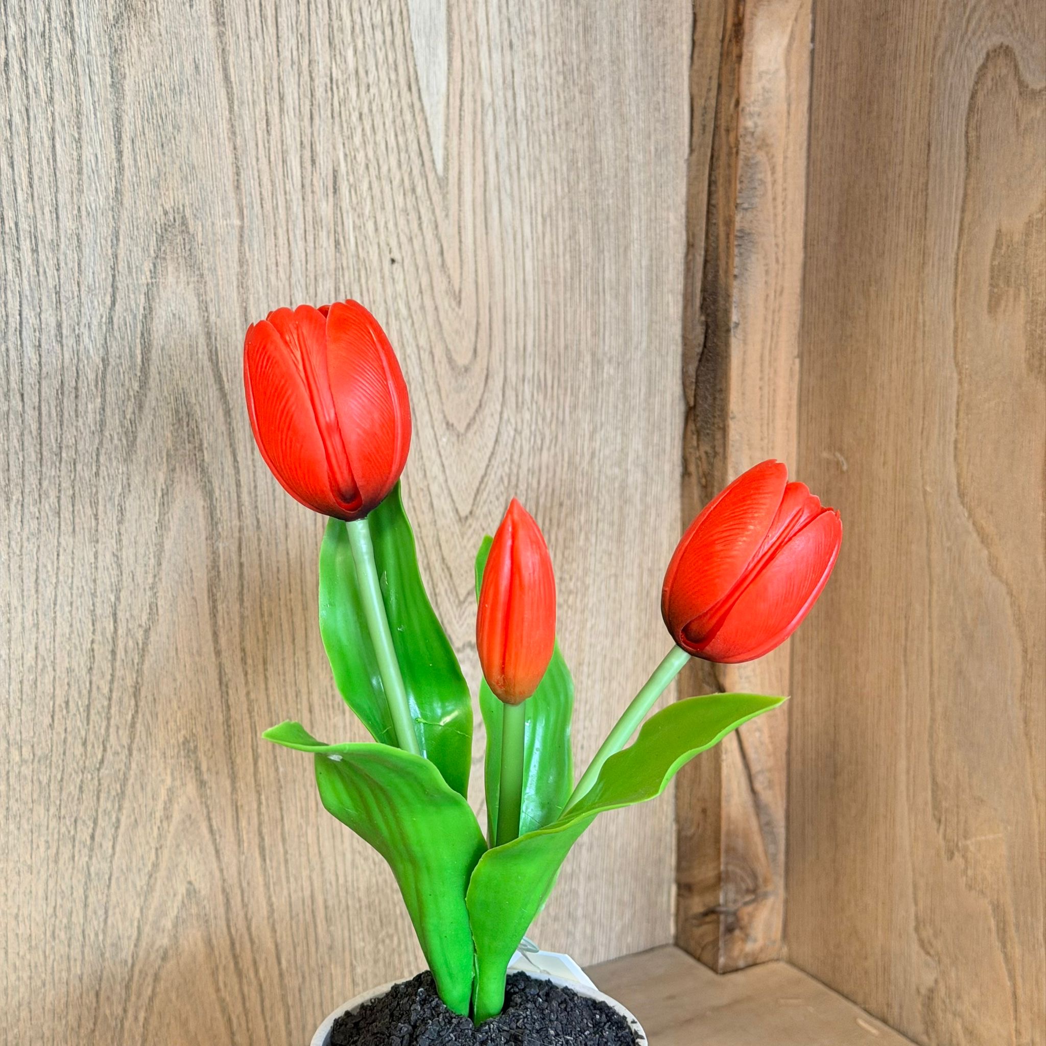Vasetto 3 tulipani rossi