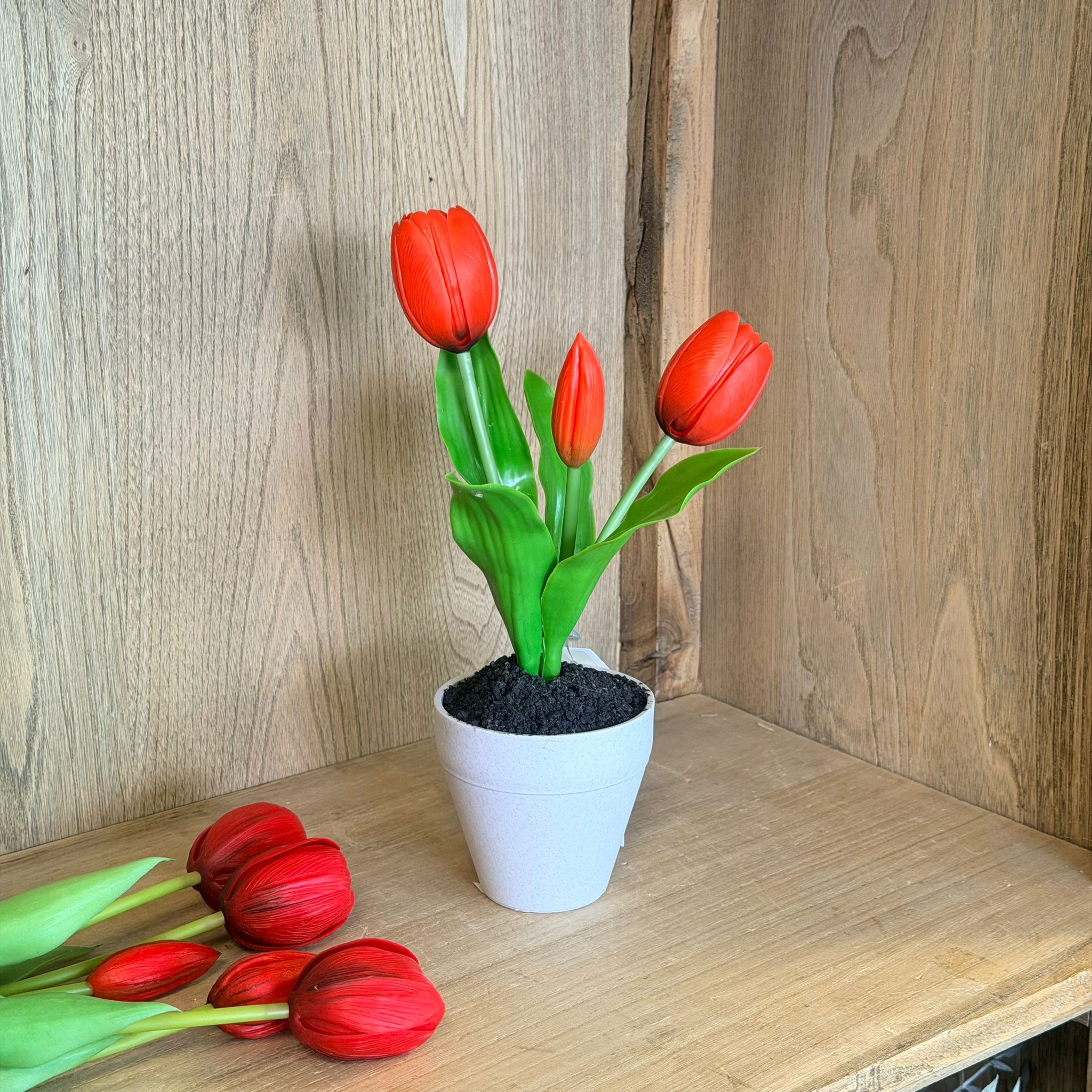 Vasetto 3 tulipani rossi