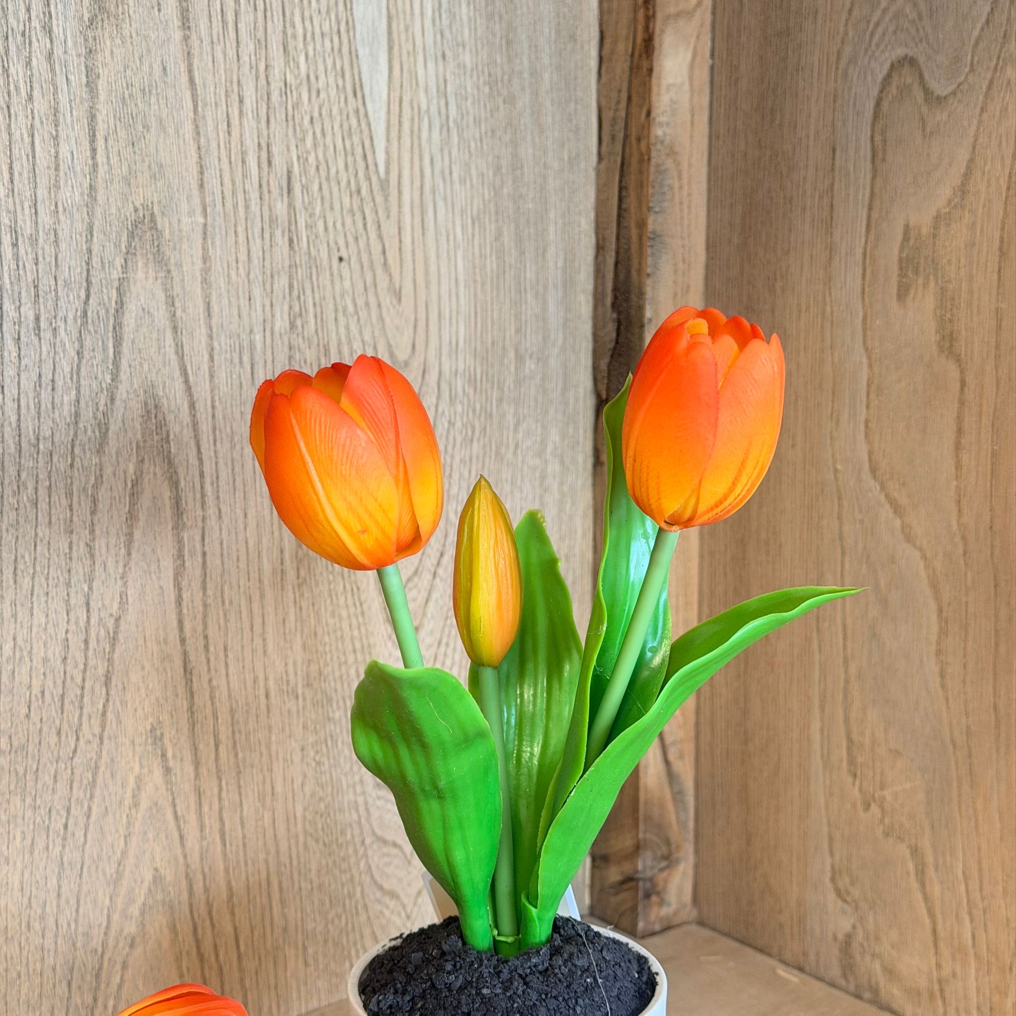Vasetto 3 tulipani arancio
