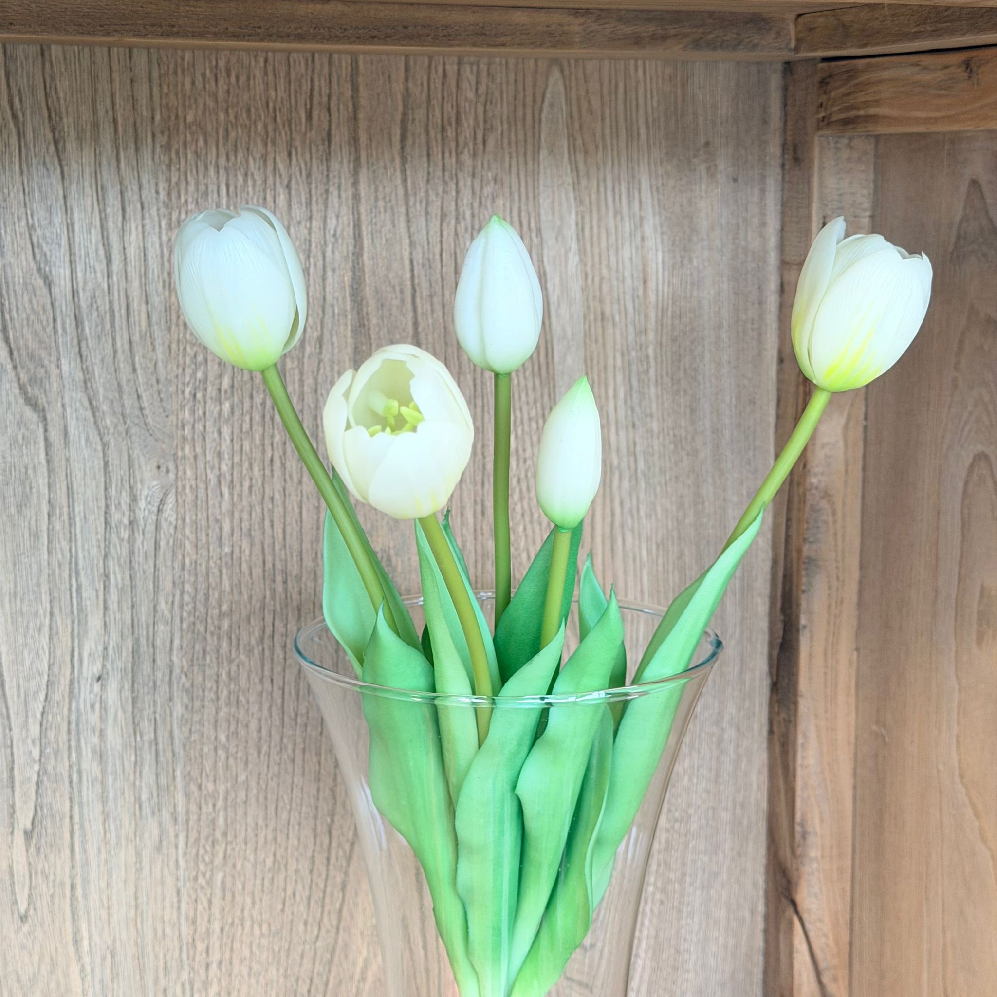 Bush 5 tulipani bianco