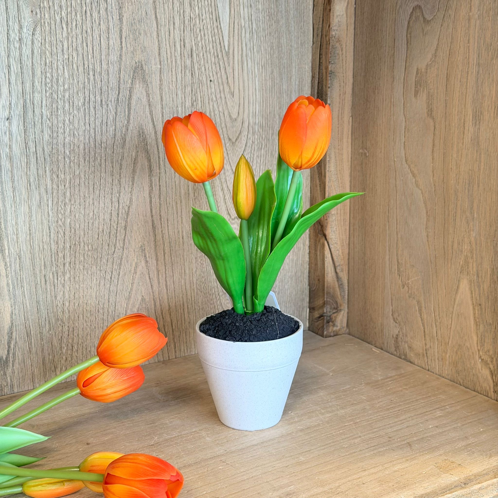 Vasetto 3 tulipani arancio