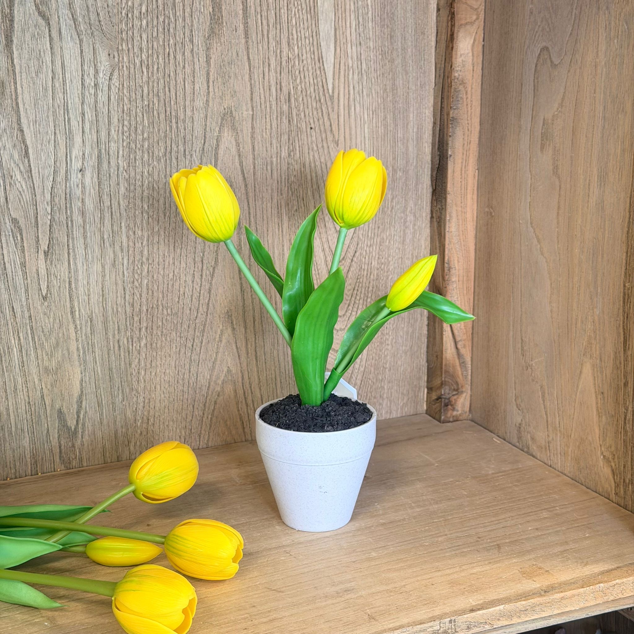 Vasetto 3 tulipani giallo