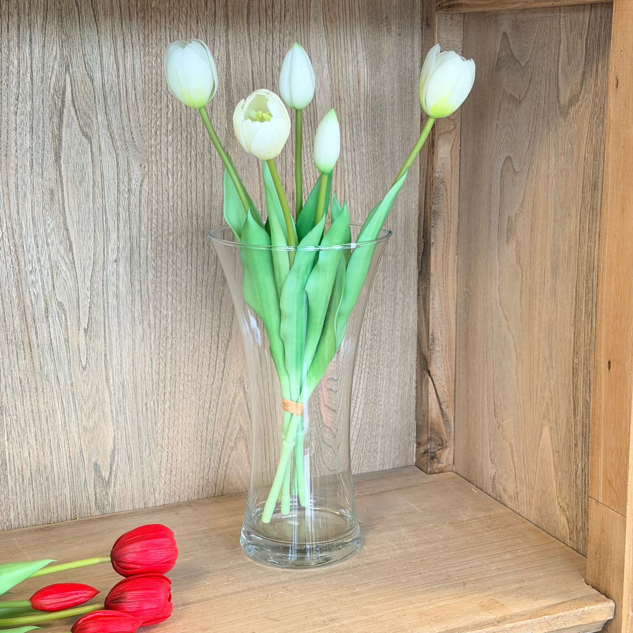 Bush 5 tulipani bianco