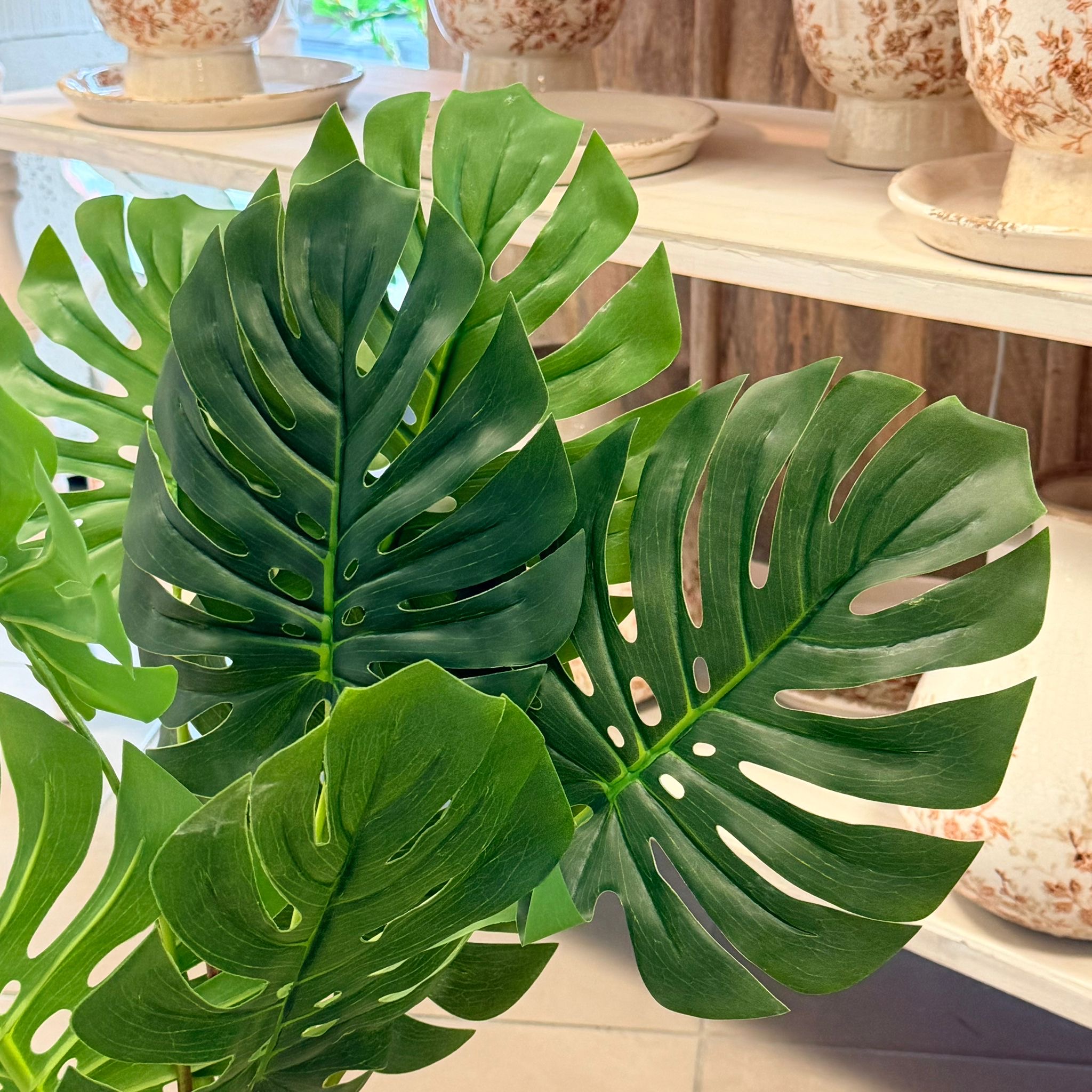 Vaso pianta tropicale monstera h75