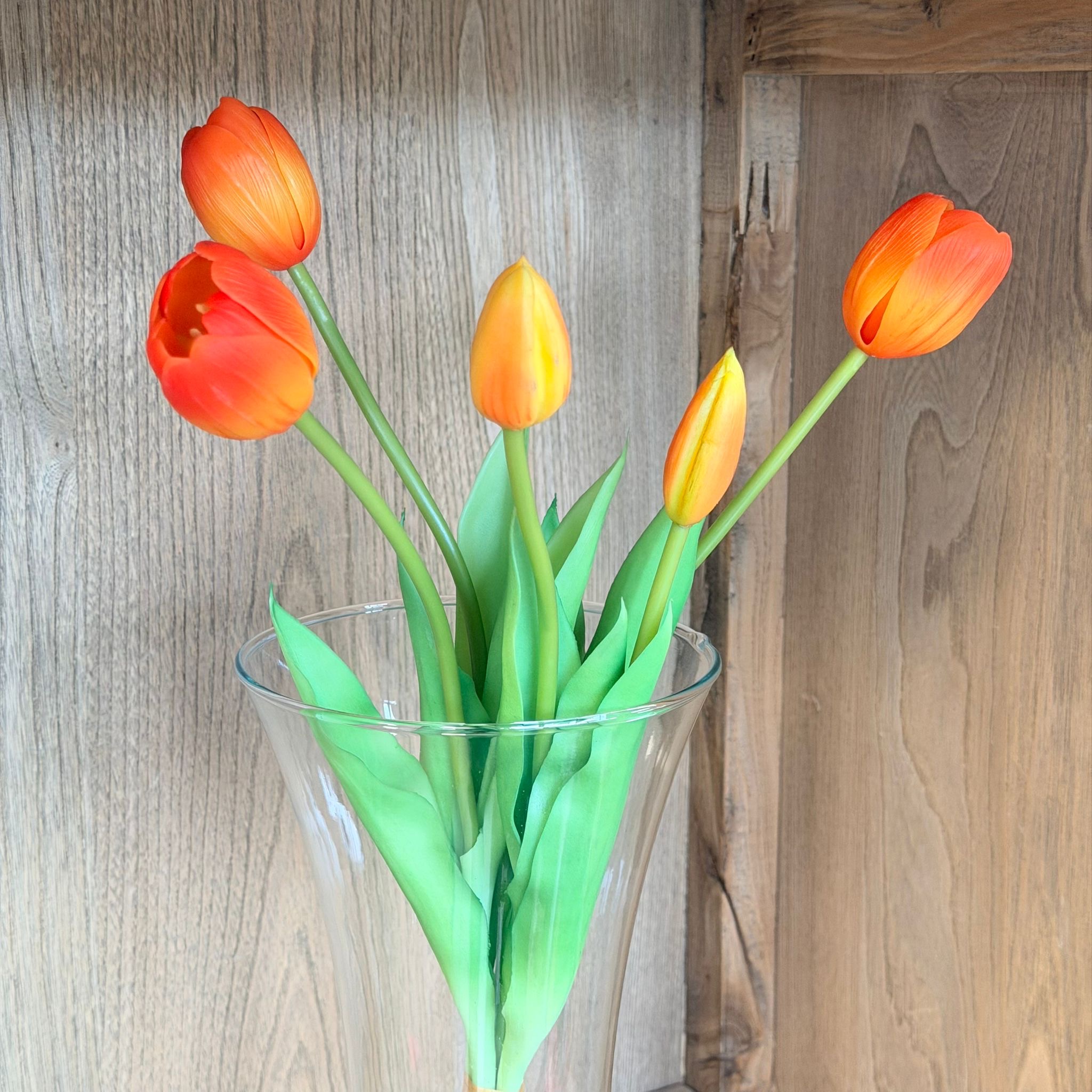 Bush 5 tulipani arancio