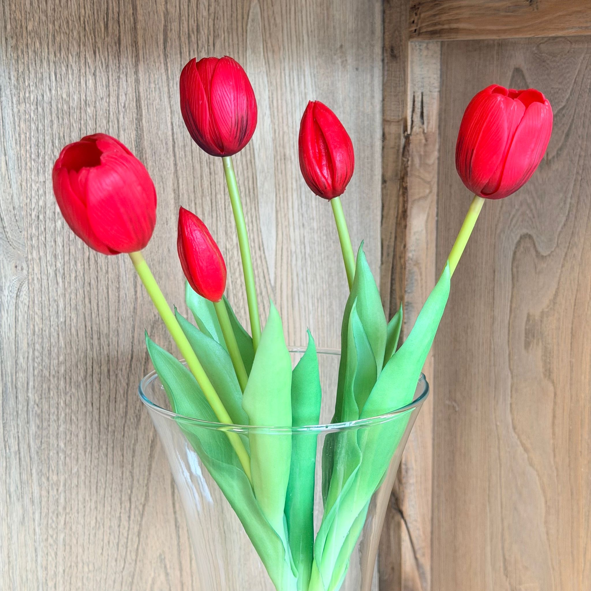 Bush 5 tulipani rosso