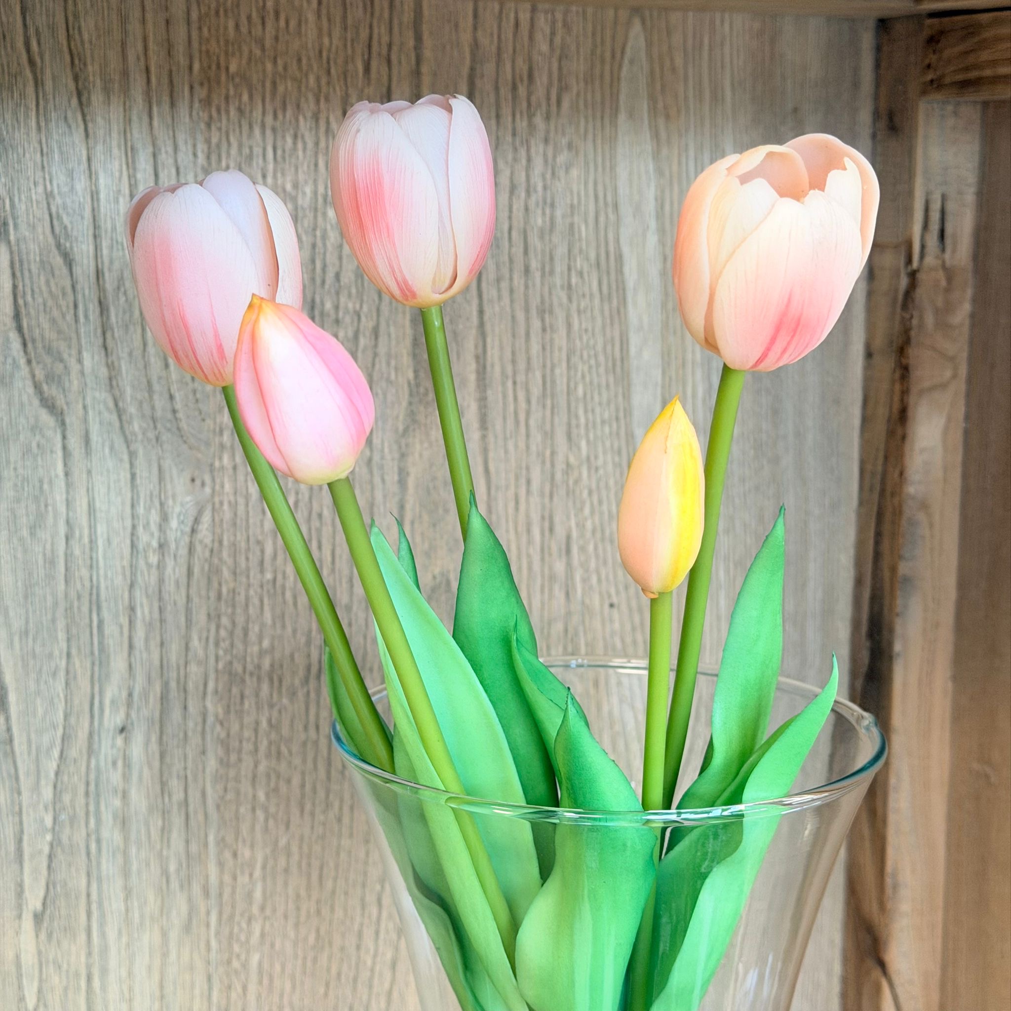 Bush 5 tulipani rosa