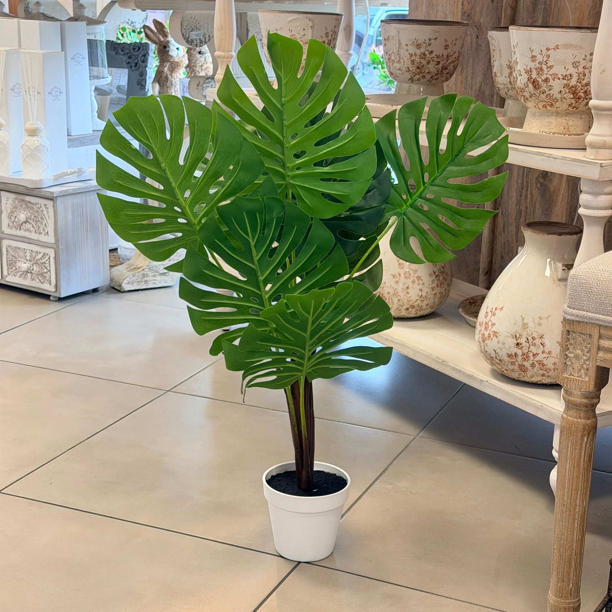 Vaso pianta tropicale monstera h75