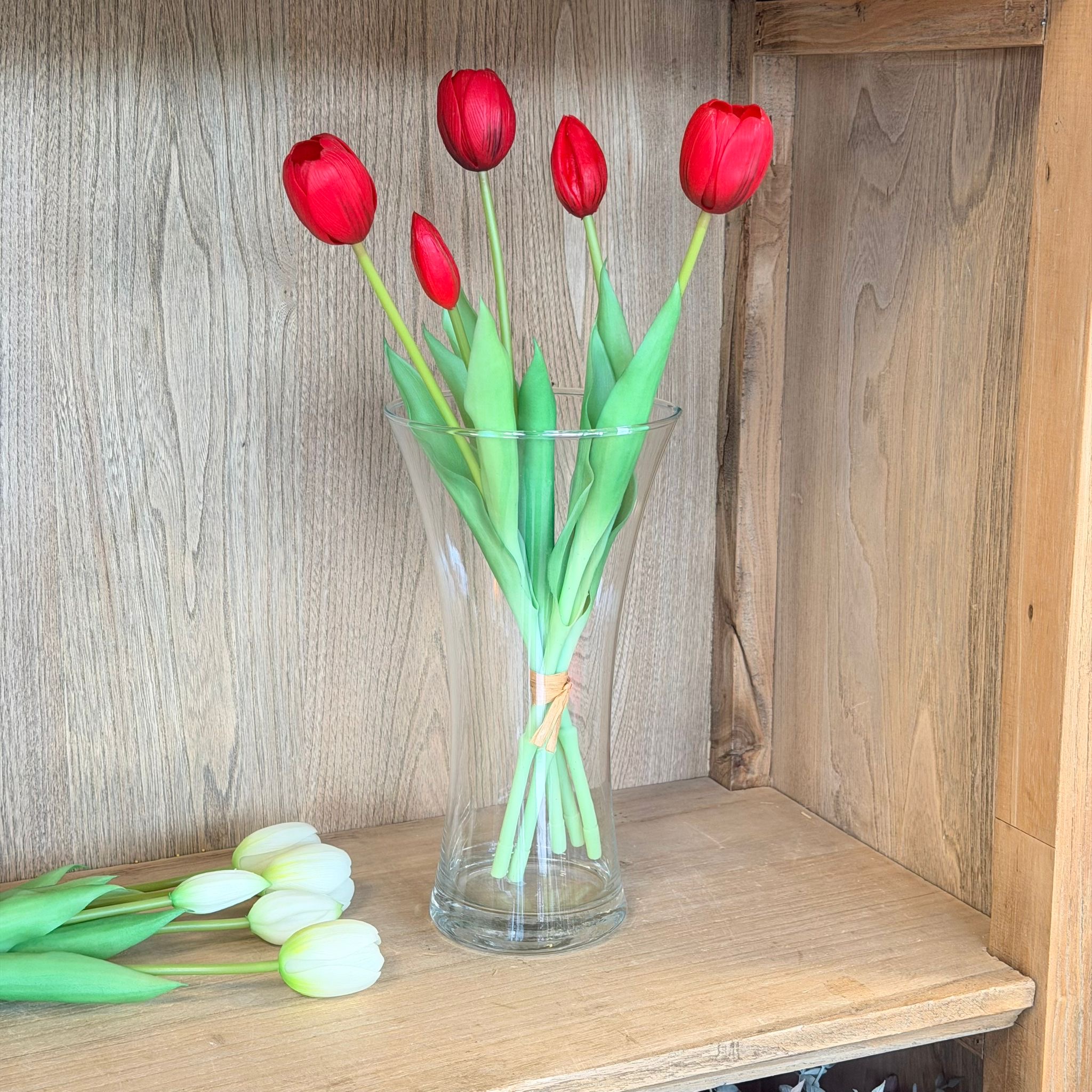 Bush 5 tulipani rosso