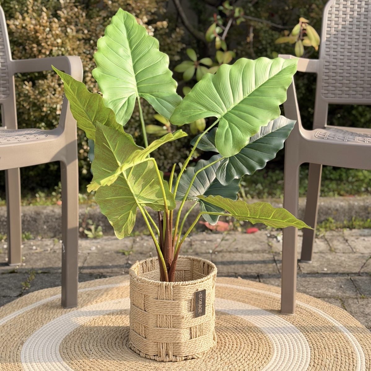 Vaso pianta tropicale foglia larga h75