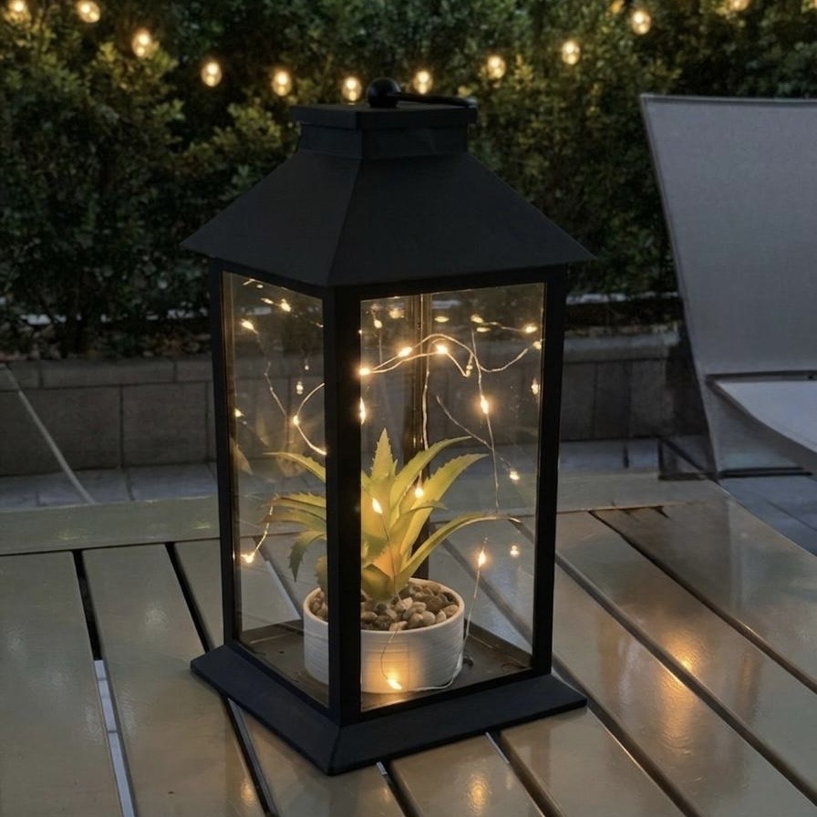 Lanterna con luci e piantina 