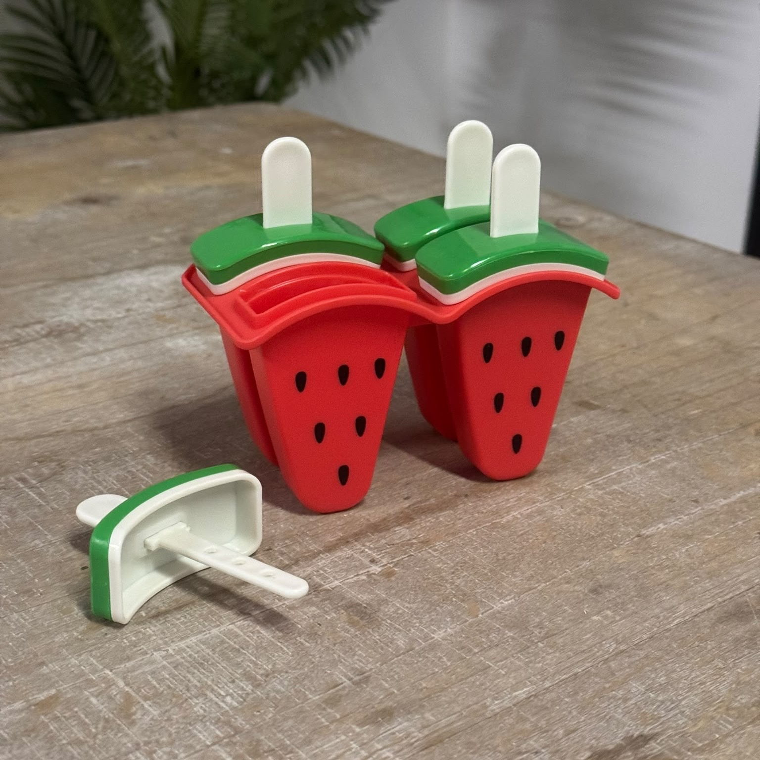 Set 4 stampo ghiaccioli/gelato 