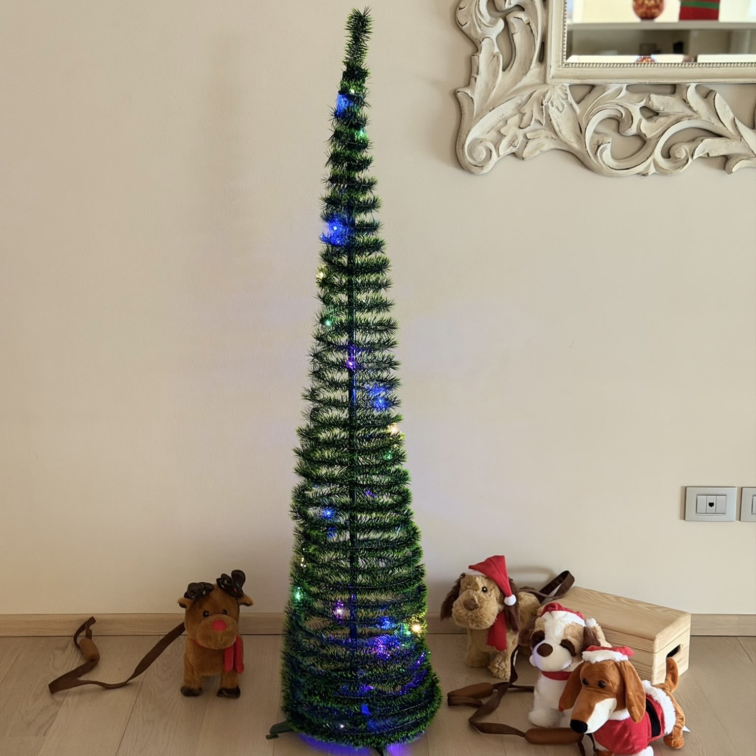Albero 